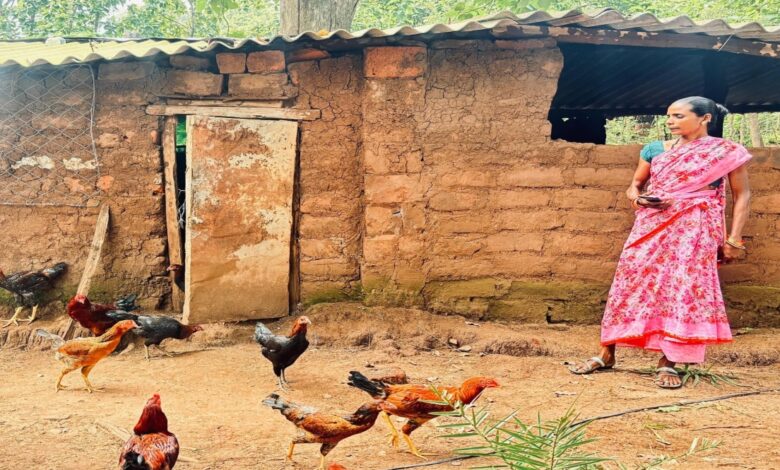 बिहान योजना से बदली महिलाओं की जिंदगी: दंतेवाड़ा में 2200 परिवार आजीविका से जुड़े