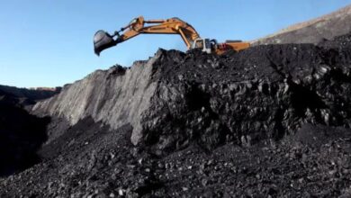CMDC's clarification on Tara coal block: Only the auction has taken place so far.