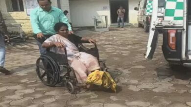 Rabid dog bites 31 people: Panic grips 5 neighborhoods; children and elderly among the injured.