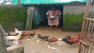 Rajni becomes self-reliant through poultry farming, boosts contribution to family income.