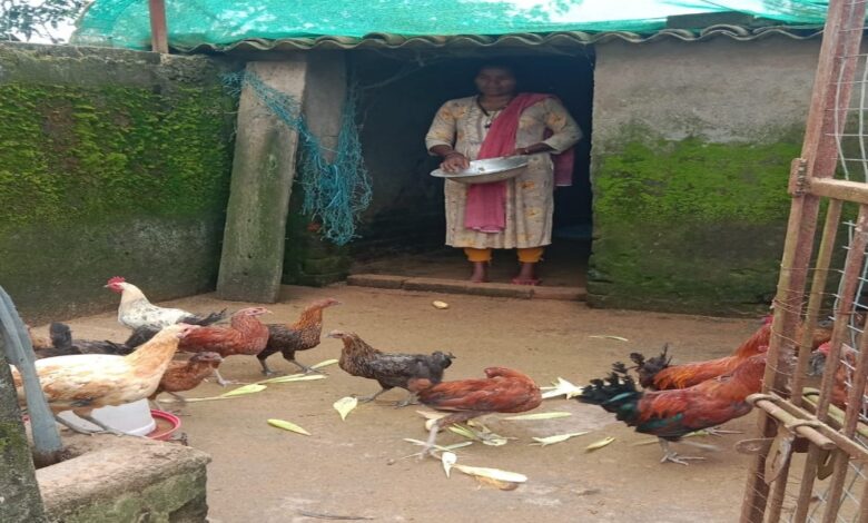 Rajni becomes self-reliant through poultry farming, boosts contribution to family income.