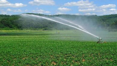 ₹40.85 crore sanctioned for irrigation schemes; canals to undergo renovation.