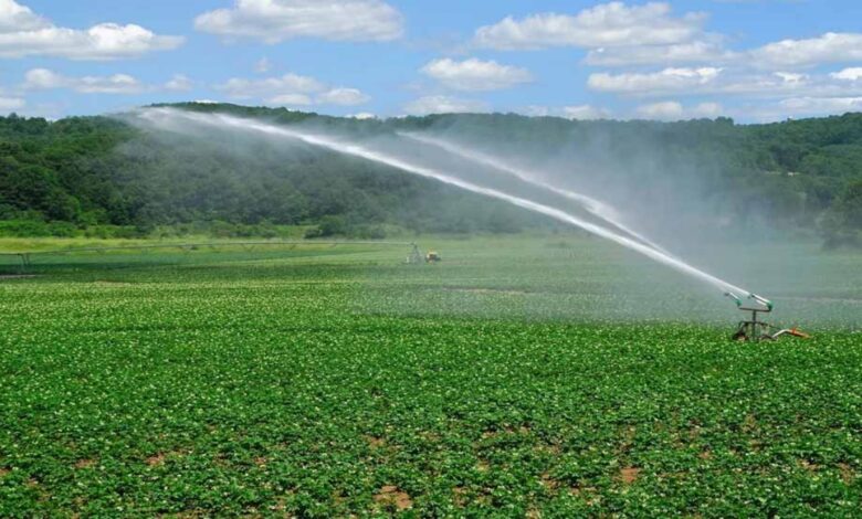 ₹40.85 crore sanctioned for irrigation schemes; canals to undergo renovation.