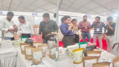 From the scent of the forest to market recognition: The journey of Jashpur’s Mahua.