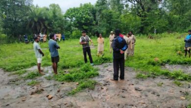 Signs of tiger presence in the forest; Forest Department steps up surveillance.