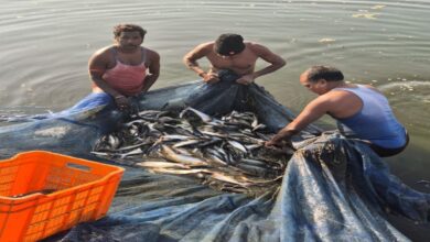 Small Pond, Big Profit: Gandhiram Earns ₹8 Lakh Annually
