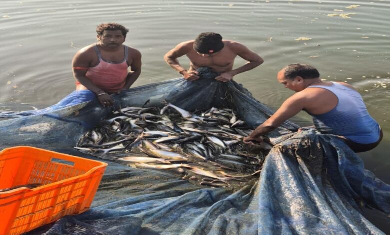 Small Pond, Big Profit: Gandhiram Earns ₹8 Lakh Annually