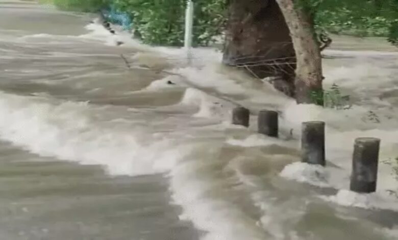 Schools closed in Chhattisgarh; 3 deaths due to rain in Bihar.