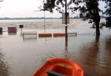 Winds will blow at a speed of 40 km/h in 12 districts of Chhattisgarh.