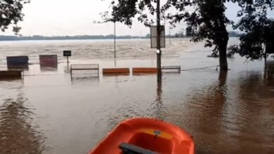 Winds will blow at a speed of 40 km/h in 12 districts of Chhattisgarh.