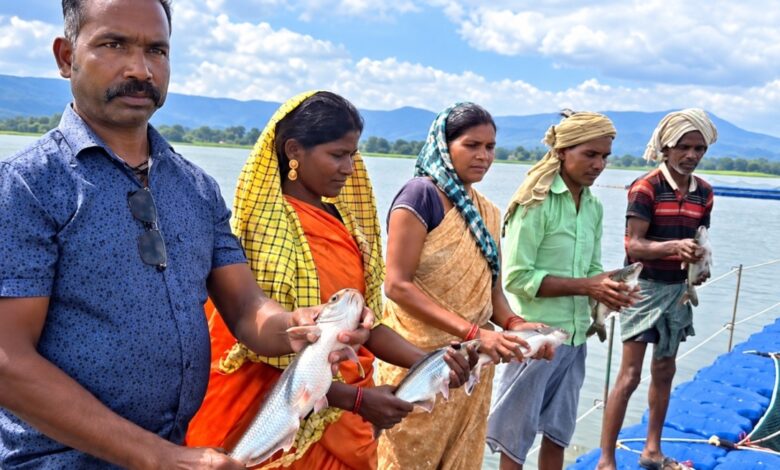 54 cages in Malhaniya Reservoir transform fishermen's lives.
