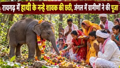 'Chhathi' ceremony for a baby elephant: Villagers performed a puja at the edge of the forest.