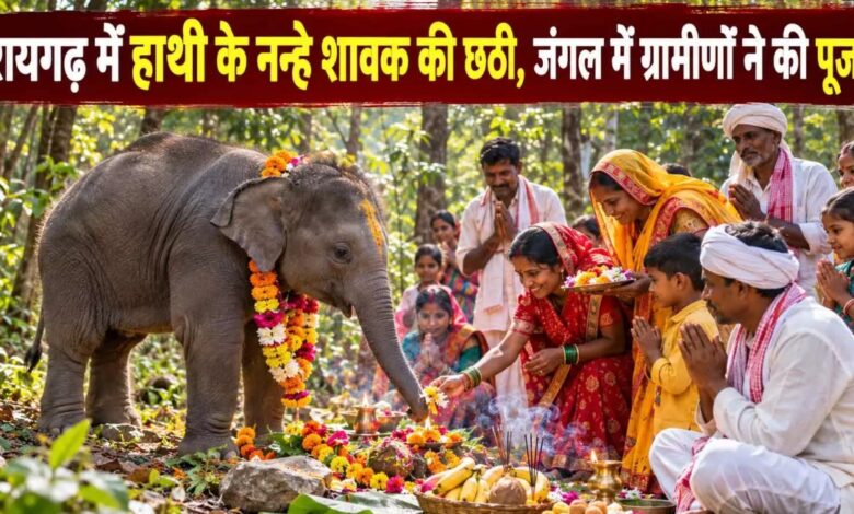 'Chhathi' ceremony for a baby elephant: Villagers performed a puja at the edge of the forest.