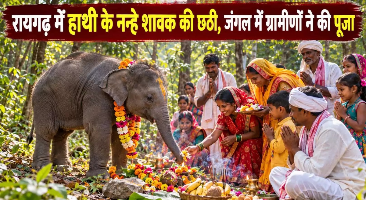 'Chhathi' ceremony for a baby elephant: Villagers performed a puja at the edge of the forest.