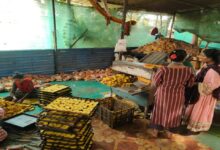 The duo of Dilip and Savitri went from working in someone else's bakery to running their own business.