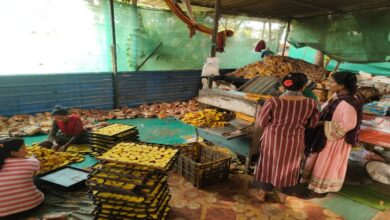 The duo of Dilip and Savitri went from working in someone else's bakery to running their own business.
