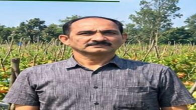 Advanced tomato farming on 2 acres: Shahid earned ₹1.20 lakh.