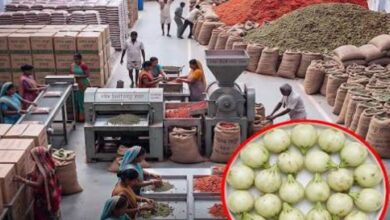 NITI Aayog lauds Chhattisgarh's model of enhancing livelihoods through forest produce.