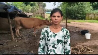 Sandhya becomes self-reliant through the dairy business; saves ₹15,000 monthly from milk sales.