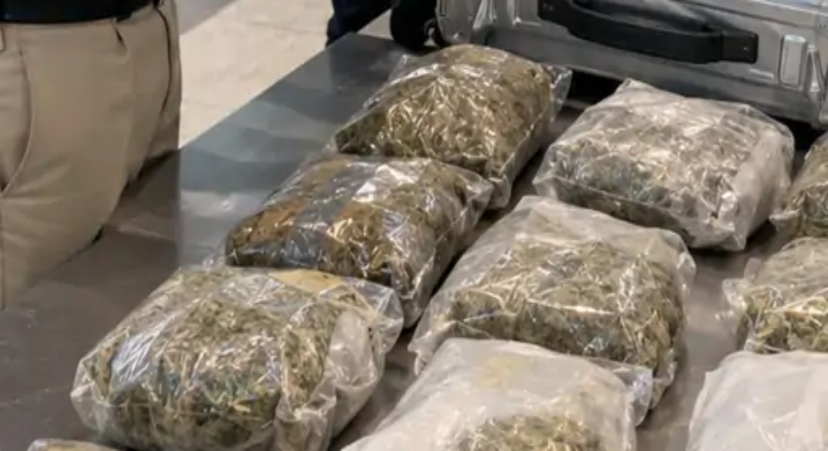 Cannabis worth ₹4.5 crore seized at airport; Indian passenger arriving from Bangkok arrested.