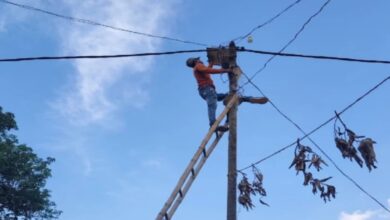 96 cases of electricity theft detected in Chhattisgarh; 187 premises inspected; FIRs to be registered.