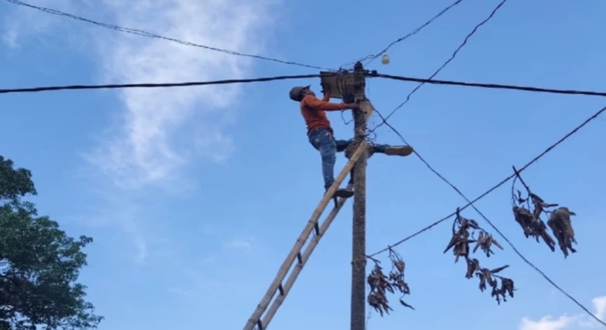 96 cases of electricity theft detected in Chhattisgarh; 187 premises inspected; FIRs to be registered.