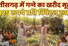 31,000 sugarcane farmers in Chhattisgarh to receive a ₹51 crore bonus; rates hiked.