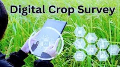 Agriculture Department orders an inquiry following a complaint regarding payments for the digital crop survey.