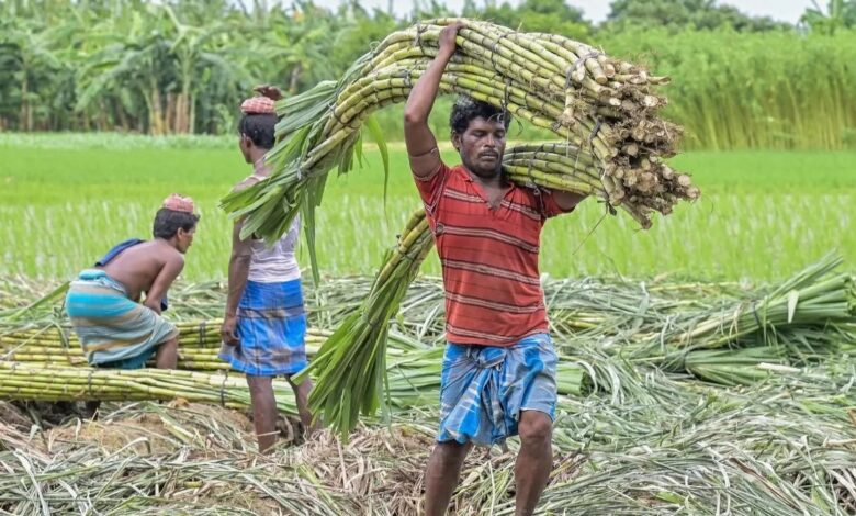 Chhattisgarh ranks number one in the country for sugarcane prices.
