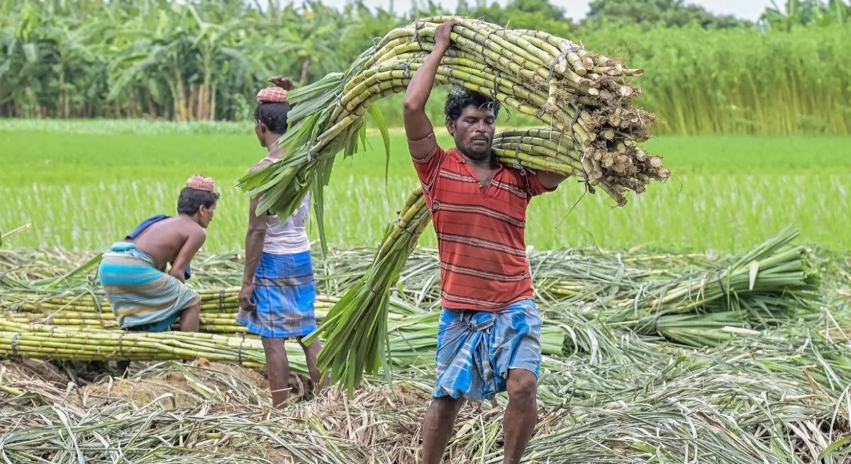 Chhattisgarh ranks number one in the country for sugarcane prices.