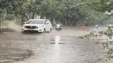 Rain expected in 4 districts of Chhattisgarh; winds to blow at speeds of 40 km/h.