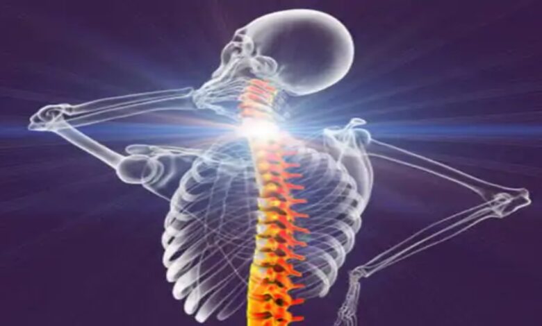 World Spine Day: Changing lifestyles are leading to an increase in back and neck pain