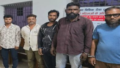 11 accused arrested for throwing severed head of cow, beaten in court