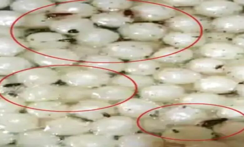 Dead cockroaches and insects in sweets, fungus in sugar syrup; Licenses of 4 shops suspended