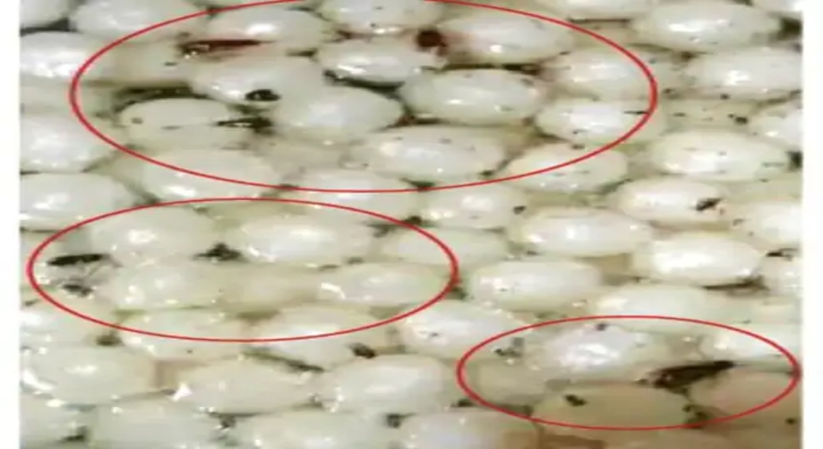 Dead cockroaches and insects in sweets, fungus in sugar syrup; Licenses of 4 shops suspended