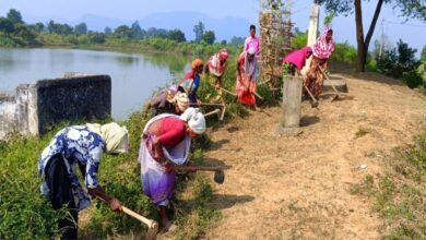 ₹300 daily wages support rural families in Dhamtari