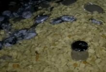 Paneer was being made from expired milk; 2,500 kg of sweets destroyed.