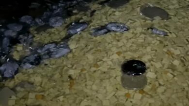 Paneer was being made from expired milk; 2,500 kg of sweets destroyed.