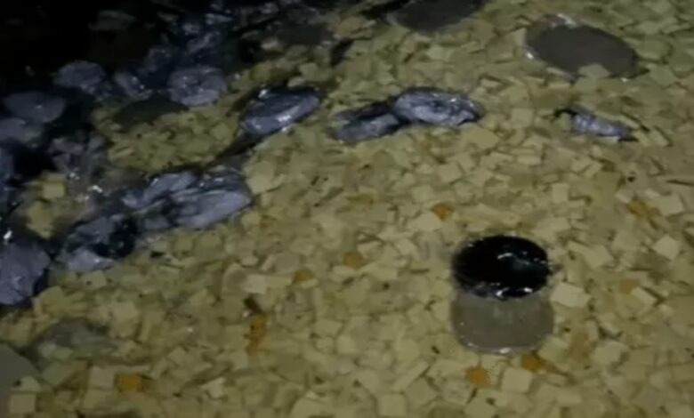 Paneer was being made from expired milk; 2,500 kg of sweets destroyed.