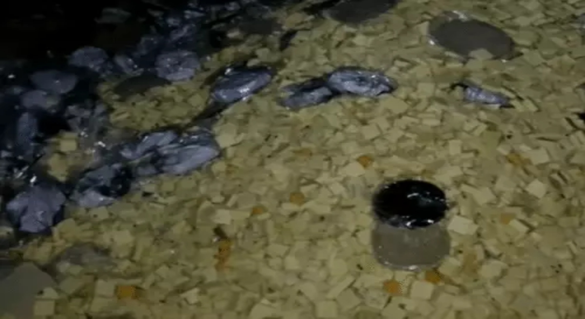 Paneer was being made from expired milk; 2,500 kg of sweets destroyed.