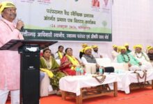 309 traditional healers in Chhattisgarh receive certificates; target set for 1,000 by 2027