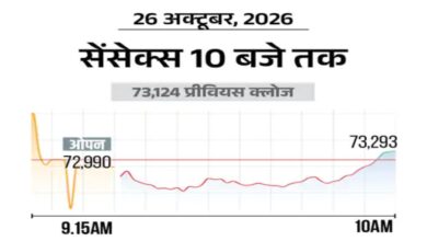 Sensex rises 300 points, Nifty also gains; buying seen in metal and pharma stocks