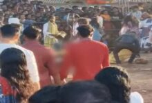 रायगढ़ में मानकेश्वरी मंदिर में 60 बकरों की बलि, बैगा ने पिया खून