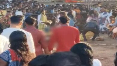रायगढ़ में मानकेश्वरी मंदिर में 60 बकरों की बलि, बैगा ने पिया खून