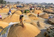 No need to stand in queues at societies to sell paddy; get your token from the comfort of your home.