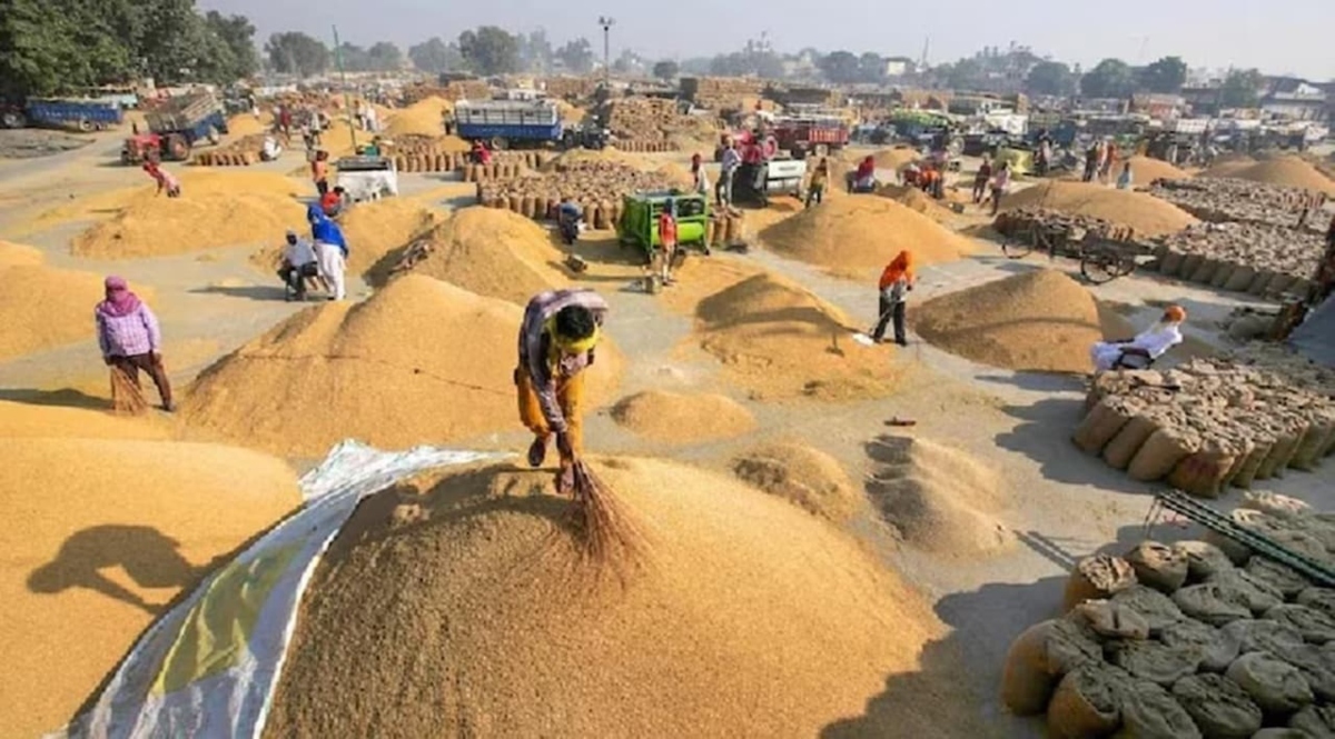 No need to stand in queues at societies to sell paddy; get your token from the comfort of your home.