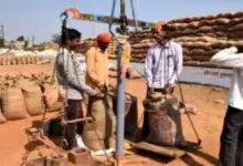 Approval granted for 360 new paddy procurement centers in Chhattisgarh; procurement will now take place at 3,100 centers.